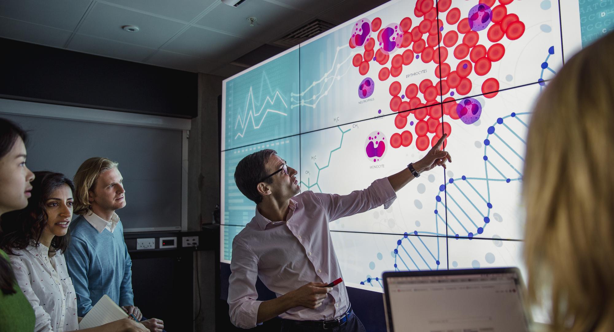 Clinical trial screen