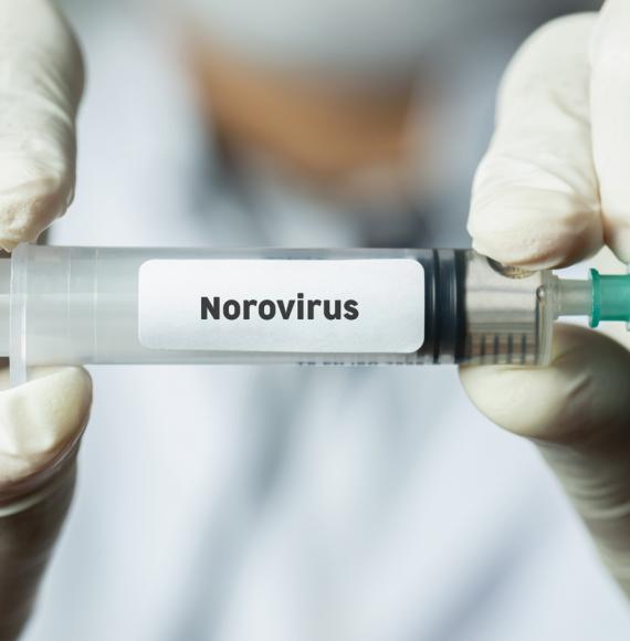 Norovirus vaccine