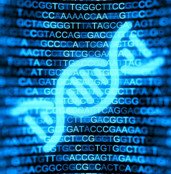 Whole genome sequencing